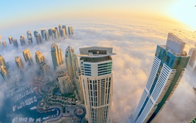 Thick fog in Dubai