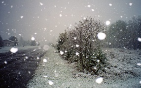 Поездка по зимнему Харькову