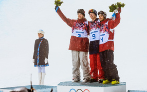 Американский фристайлист Дэвид Вайз на олимпиаде в Сочи