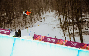 Американский фристайлист Дэвид Вайз обладатель золотой медали