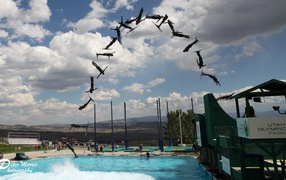 Австралийский фристайлист Дэвид Моррис на олимпиаде в Сочи