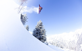 Тора Брайт австралийская сноубордистка 