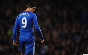 Back of Fernando Torres