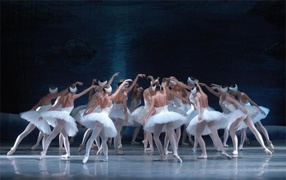 Балерины на сцене