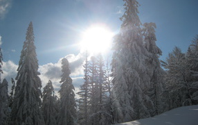 Красота зимнего Харькова