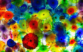 Креативная многоцветная фотография