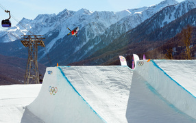 Дэвид Вайз американский фристайлист обладатель золотой медали