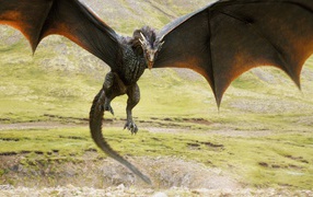 Dragon of the series Game of Thrones