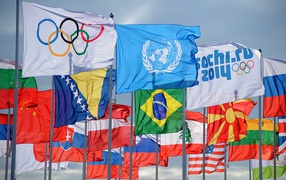 Flags of participating countries at the opening of the Olympic Games in Sochi