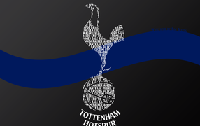 Футбольный клуб Тоттенхэм