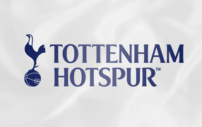 Футбольный клуб Англии Тоттенхэм