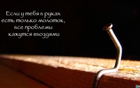 Забей на проблемы и двигайся вперед