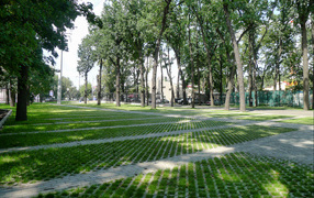 Kharkov park
