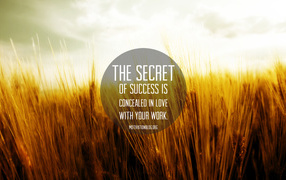 Motivation The secret of success