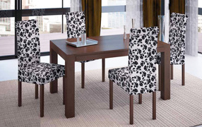 Motley furniture in the dining room