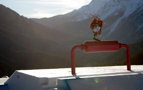 Николас Геппер американский фристайлист