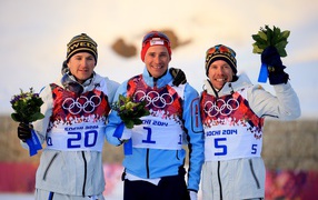 Ола Виген Хаттестад норвежский лыжник 