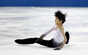 Патрик Чан из Канады две серебряные медали на олимпиаде в Сочи