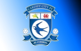 Популярный Футбольный клуб Кардифф Сити