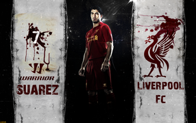 Популярный клуб Ливерпуль