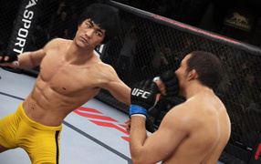 Схватка в игре EA SPORTS UFC