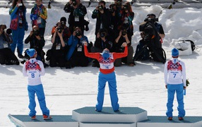 Russian skier Alexander easily on the Olympic Games in Sochi