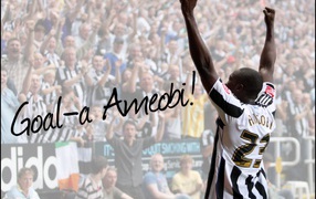 Лучшая футбольная команда Англии Ньюкасл Юнайтед