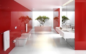 The red color in the design of the bathroom