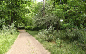 Прогулка по парку Горького Харьков