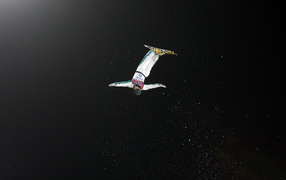 Обладатель серебряной медали в дисциплине фристайл Дэвид Моррис из Австралии