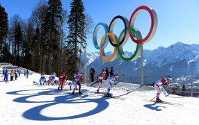 Обладательница золотой и двух серебряных медалей  Шарлотта Калла в Сочи в дисциплине лыжные гонки