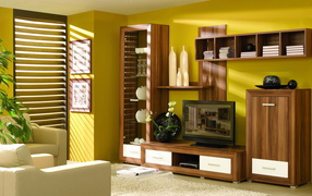 Yellow wall in the living room