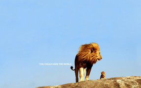 Ты можешь покорить весь мир