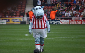 Известный ФК Сток Сити