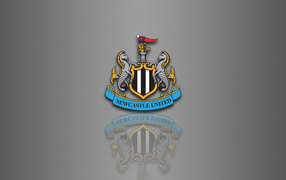  The famous football team england Newcastle United