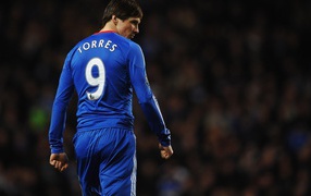 	   Footballer Fernando Torres