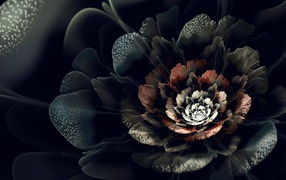 Абстрактный черный цифровой цветок