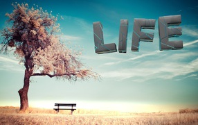 Буквы в небе у дерева, 3-Д графика