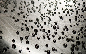 Мелкие черные шарики на серой поверхности