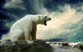 Белый медведь широко открыл пасть