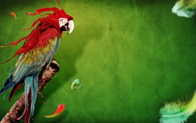 Красочный попугай на зеленом фоне