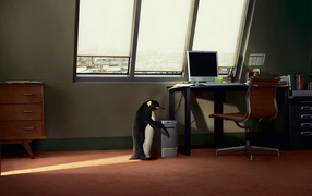 Пингвин и компьютер