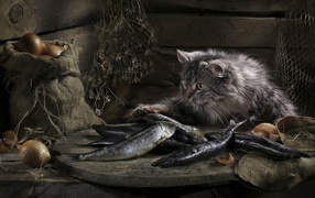 Кот нашел сокровище