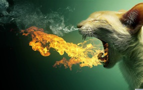 Cat spews flames