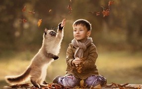 Child and cat playing together