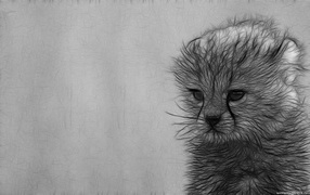Серый рисунок котенка