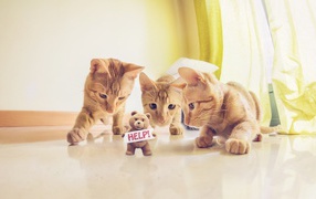 Игрушка просит спасения от котов