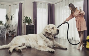 Хозяйка пылесосит собаку