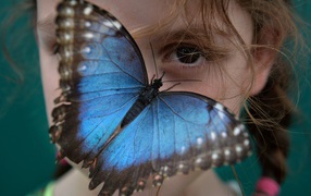 Blue butterfly on a girl's face