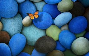 Бабочка на гладких камнях